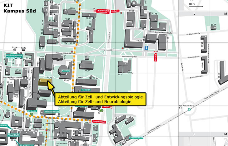 Lageplan der Abteilungen